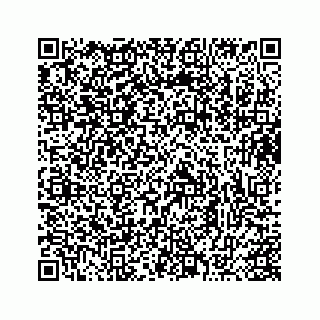 vCard 73413330293