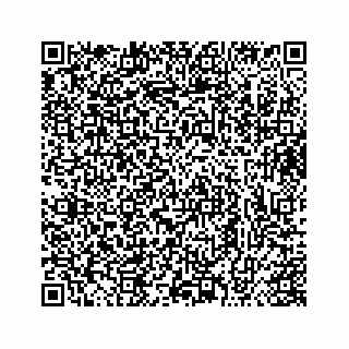vCard 73413331137