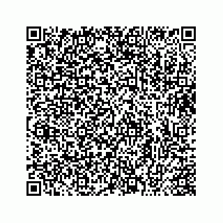 vCard 73413331269