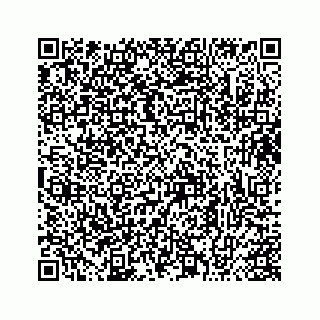 vCard 73413331311