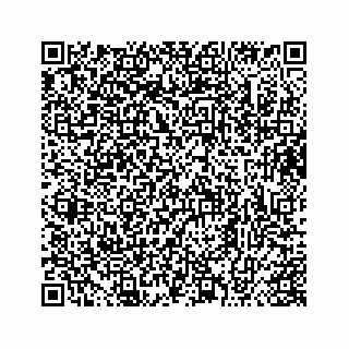 vCard 73413331312