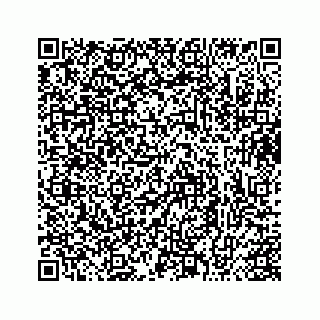 vCard 73413331323