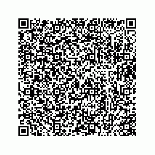vCard 73413331329