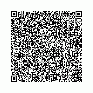 vCard 73413331330