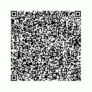 vCard 73413331338