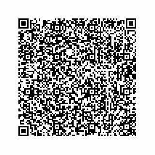 vCard 73413331370