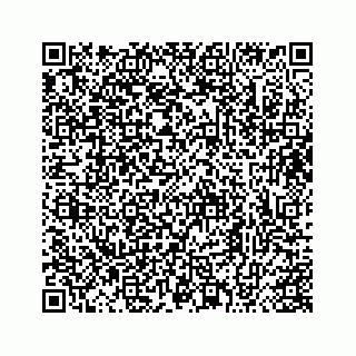 vCard 73413331374