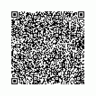 vCard 73413331381