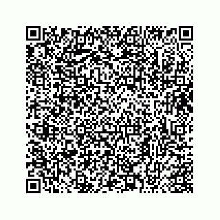 vCard 73413331388