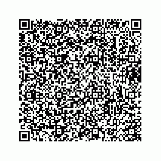 vCard 73413364313