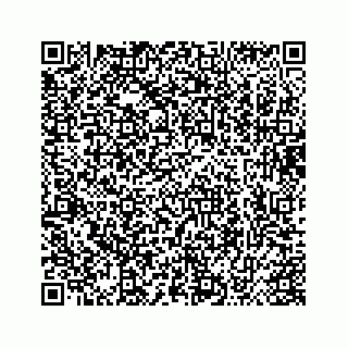 vCard 73413635520