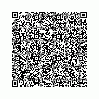 vCard 73413635584