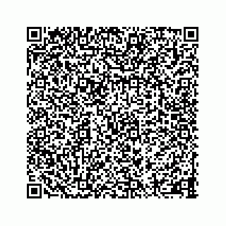 vCard 73413835321