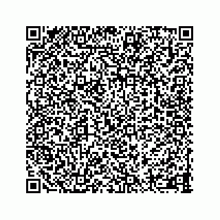 vCard 73413835329