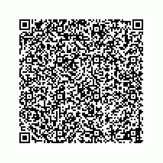vCard 73413835351