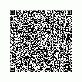 vCard 73413973248
