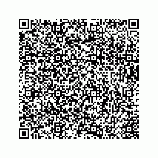 vCard 73413994296