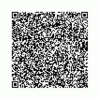 vCard 73413994383