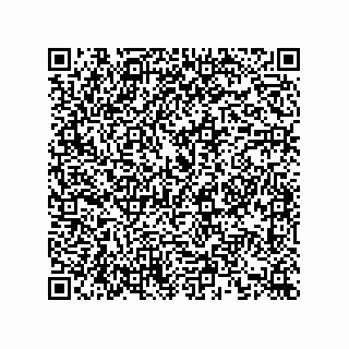 vCard 73424160385