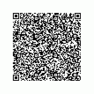 vCard 73424933231