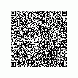 vCard 73424933385