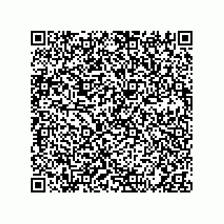 vCard 73424993871