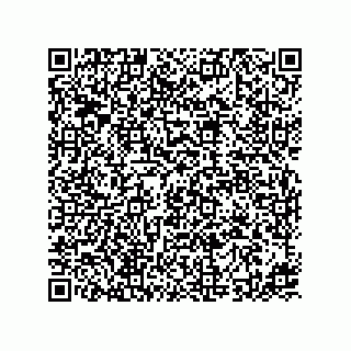 vCard 73425429313