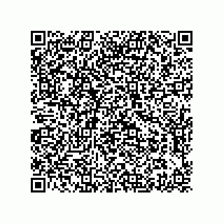 vCard 73425639381