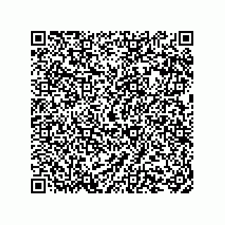 vCard 73427721313