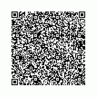 vCard 73432113210