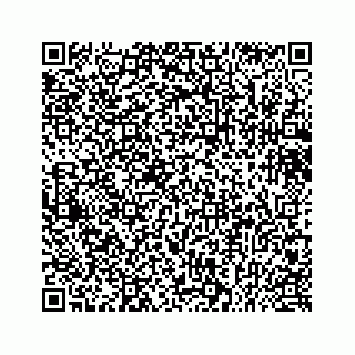 vCard 73432113381