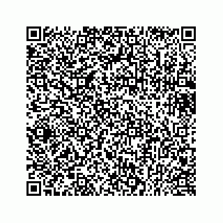 vCard 73432113387