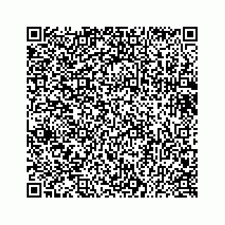 vCard 73432130039