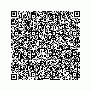 vCard 73432531334