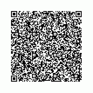vCard 73432697363