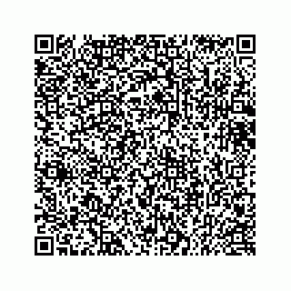 vCard 73432697370