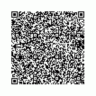 vCard 73433099911