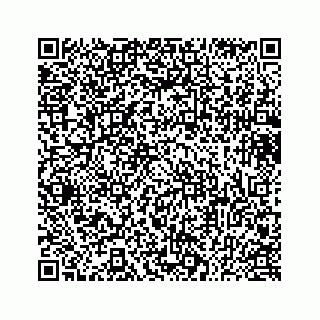 vCard 73433300013