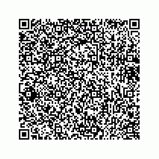 vCard 73433300039