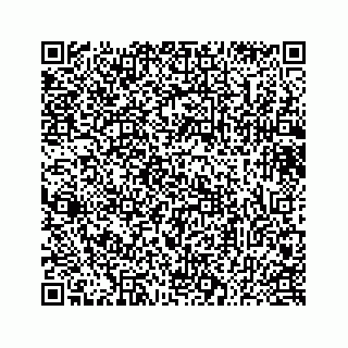 vCard 73433300311