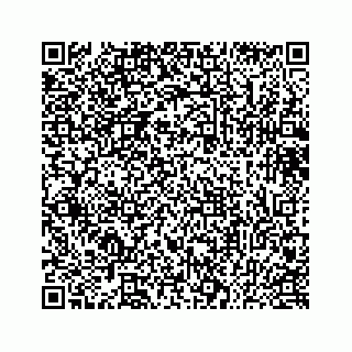 vCard 73433300370