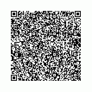 vCard 73433300381