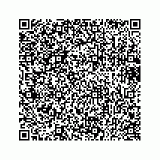 vCard 73433300393