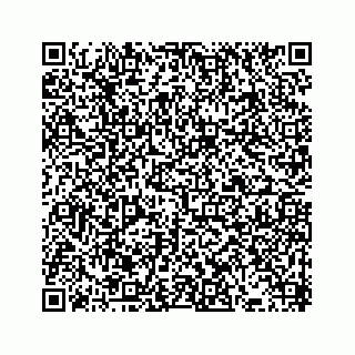vCard 73433300395
