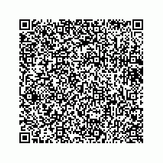 vCard 73433300399