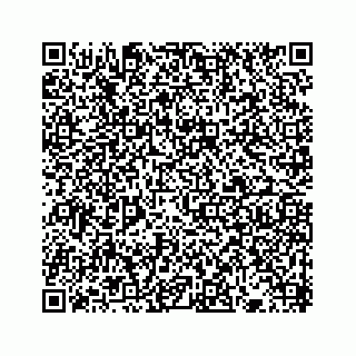 vCard 73433566144