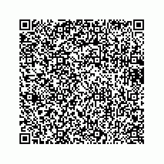 vCard 73433730403