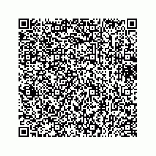 vCard 73433731325