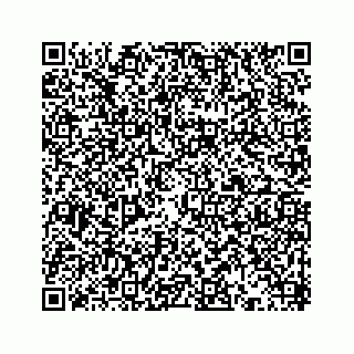 vCard 73433753881