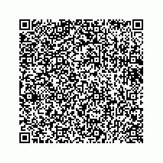 vCard 73433799279